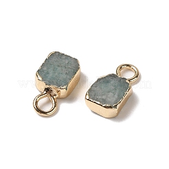 Natural Amazonite Rectangle Charms&nbsp;G-Q169-07G-08