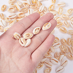 Natural Mixed Cowrie Shell Beads&nbsp;BSHE-CJ0001-01