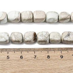Natural Variscite Beads Strands&nbsp;G-B155-D01