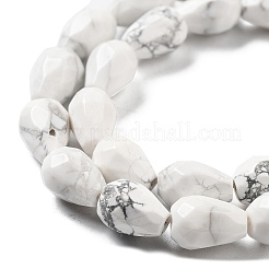 Natural Howlite Beads Strands&nbsp;G-P520-B07-01