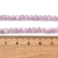 Natural Kunzite Beads Strands&nbsp;G-P587-C01-01