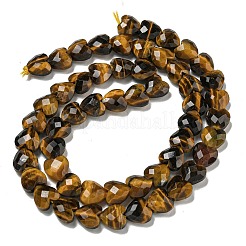 Natural Tiger Eye Beads Strands&nbsp;G-P544-E11-01