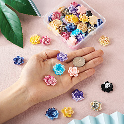 52Pcs 13 Colors Two Tone Opaque Resin Cabochons&nbsp;CRES-CD0001-08