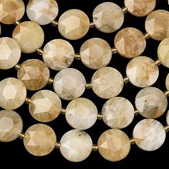 Natural Topaz Jade Beads Strands&nbsp;G-A292-A01-01