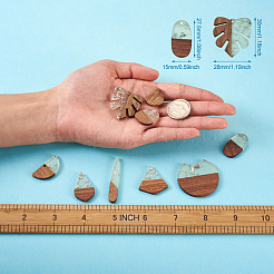 20Pcs 10 Style Resin & Walnut Wood Pendants&nbsp;RESI-KS0001-05