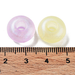Transparent Acrylic Beads&nbsp;OACR-Z013-19