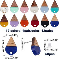 12 Pairs 12 Colors Transparent & Opaque Resin & Walnut Wood Stud Earring&nbsp;RESI-FH0001-42