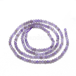 Natural Amethyst Beads Strands&nbsp;G-S264-20-2mm
