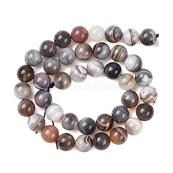 Natural Botswana Agate Beads Strands&nbsp;G-G453-A01-10mm