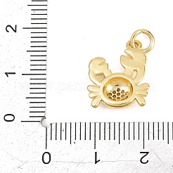 Brass Micro Pave Clear Cubic Zirconia Pendants&nbsp;KK-D258-06G-01