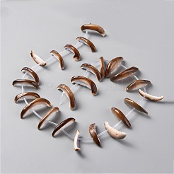 Natural Freshwater Shell Beads Strands&nbsp;SHEL-C001-01