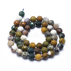 Natural Ocean Jasper Beads Strands&nbsp;G-D0013-66