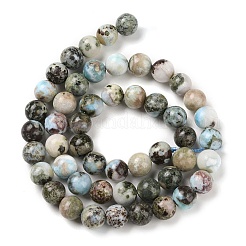 Natural Larimar Beads Strands&nbsp;G-P524-A02-03