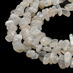 Natural Moonstone Beads Strands&nbsp;G-G0003-B42
