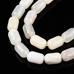 Natural White Moonstone Beads Strands&nbsp;G-G980-27
