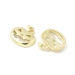 Alloy Pendants&nbsp;FIND-B047-02B-G