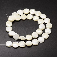 Natural Trochid Shell/Trochus Shell Beads Strands&nbsp;SSHEL-K016-03