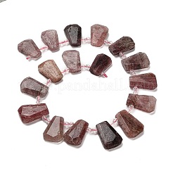 Natural Strawberry Quartz Beads Strands&nbsp;G-H078-A02-01