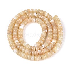 Natural Trochid Shell/Trochus Shell Beads Strands&nbsp;BSHE-T014-54B