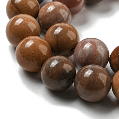Natural Petrified Wood Round Bead Strands&nbsp;G-F266-08-12mm