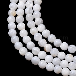 Natural Freshwater Shell Beads Strands&nbsp;SH-CBA2978-07D-03
