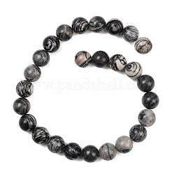 Natural Black Netstone Beads Strands&nbsp;G-L648-A11-16mm