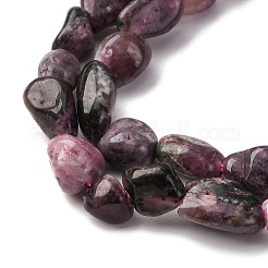 Natural Plum Blossom Tourmaline Beads Strands&nbsp;G-K395-A05-01