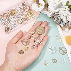 120Pcs 6 Style Alloy Pendants&nbsp;TIBEP-FH0001-20