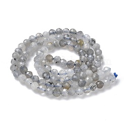 Natural Labradorite Beads Strands&nbsp;G-L651-C11-4mm