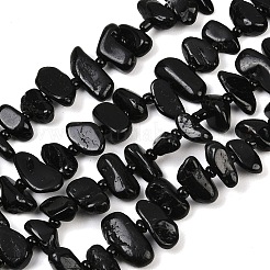 Natural Black Tourmaline Beads Strands&nbsp;G-K393-B06