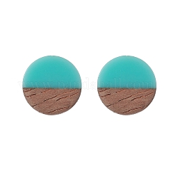 Resin & Wood Stud Earrings&nbsp;EJEW-JE05284