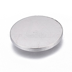 Tarnish Resistant 304 Stainless Steel Cabochons&nbsp;LS-STAS-P245-10P-01