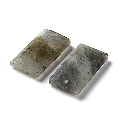 Natural Labradorite Pendants&nbsp;G-G063-01I