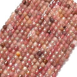 Natural Strawberry Quartz Beads Strands&nbsp;G-A260-A42-01