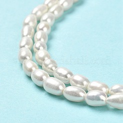 Natural Cultured Freshwater Pearl Beads Strands&nbsp;PEAR-E016-145