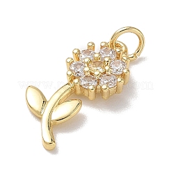 Brass Micro Pave Cubic Zirconia Pendants&nbsp;KK-L268-029G