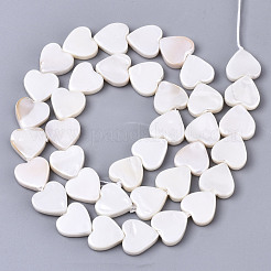 Natural Freshwater Shell Beads Strands&nbsp;SHEL-N026-51A-01