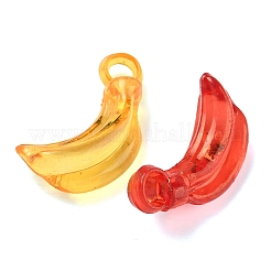 Transparent Acrylic Pendants&nbsp;OACR-Z037-05