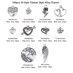 100pcs 10 Style Tibetan Style Alloy Charms&nbsp;TIBEP-CJ0001-37