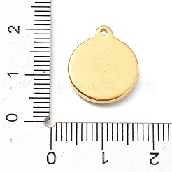 304 Stainless Steel Pendants&nbsp;STAS-I334-13G