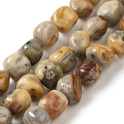 Natural Crazy Lace Agate Beads Strands&nbsp;G-B078-D23-01