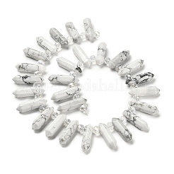 Natural Howlite Double Terminated Point Beads Strands&nbsp;G-H069-A12-01
