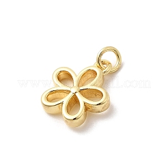 Brass Pendants&nbsp;KK-Z135-13A-G