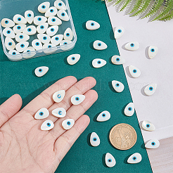 Natural Freshwater Shell Beads&nbsp;SHEL-NB0001-31