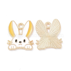 Alloy Enamel Pendants&nbsp;PALLOY-D015-08