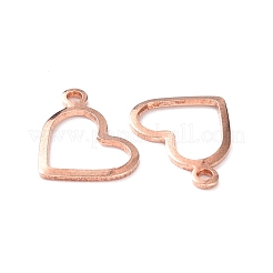 304 Stainless Steel Charms&nbsp;LS-STAS-P227-23RG