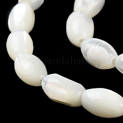 Natural Trochus Shell Beads Strands&nbsp;BSHE-E030-02A