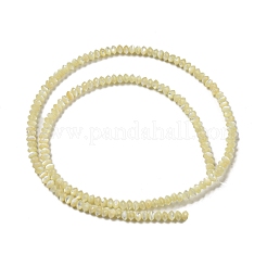 Natural Trochus Shell Rondelle Beads Strands&nbsp;SSHEL-H072-01A