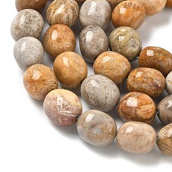 Natural Fossil Coral Beads Strands&nbsp;G-C038-02T
