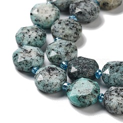 Natural Sesame Jasper/Kiwi Jasper Beads Strands&nbsp;G-NH0004-005